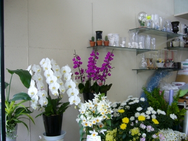 「たちばなや」　（東京都江戸川区）の花屋店舗写真3